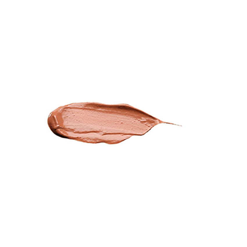 PROBIOTICS FULL COVERAGE CONCEALER